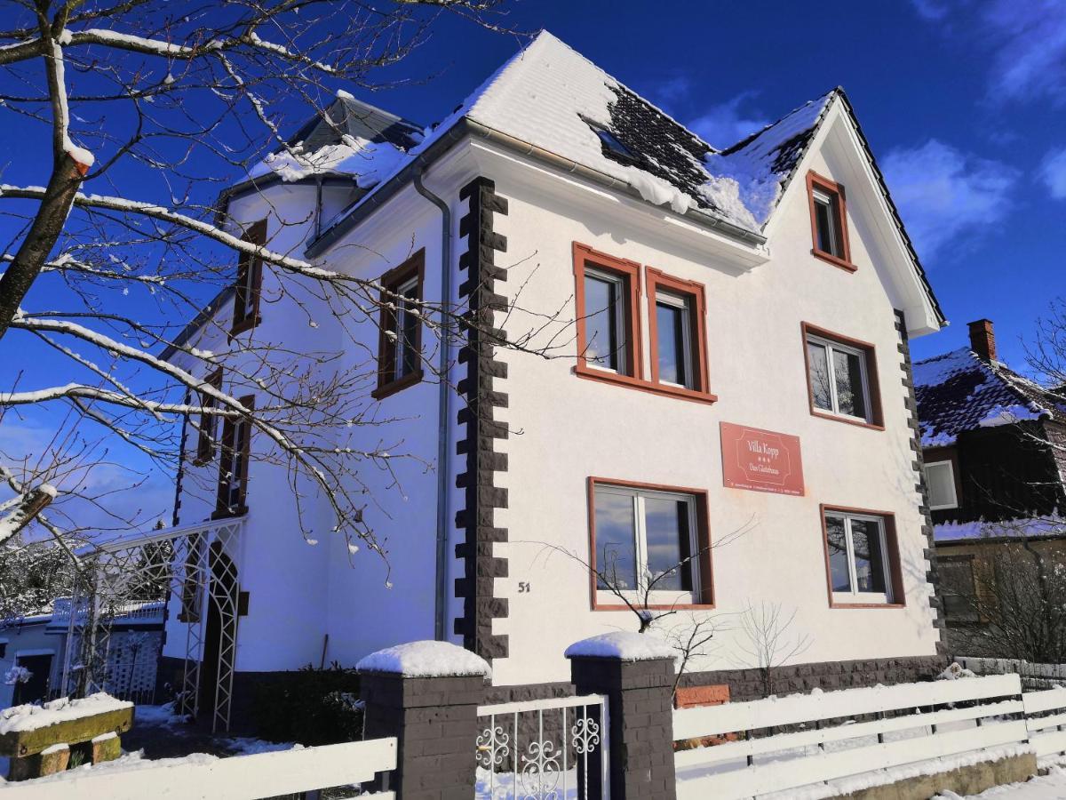 Villa Kopp-Das Gaestehaus Hopfingen Экстерьер фото